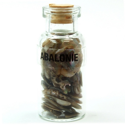 Bottles - Abalone Shell in a Bottle