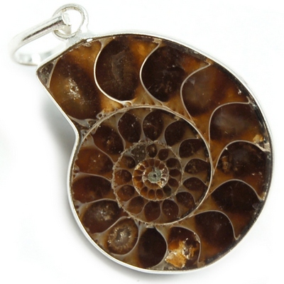 Crystal Pendants - Ammonite Pendant