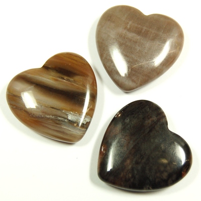 Hearts - Petrified Wood Heart