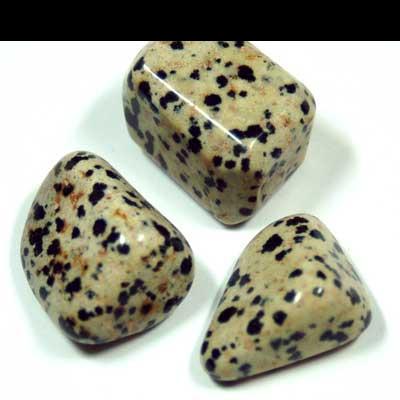 Tumbled Dalmatian Jasper - Tumbled Stones