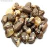 Tumbled Septarian (India) - Tumbled Stones