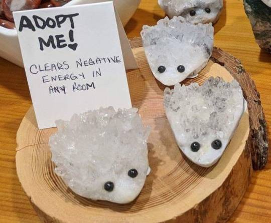 Adopt a Crystal Toay