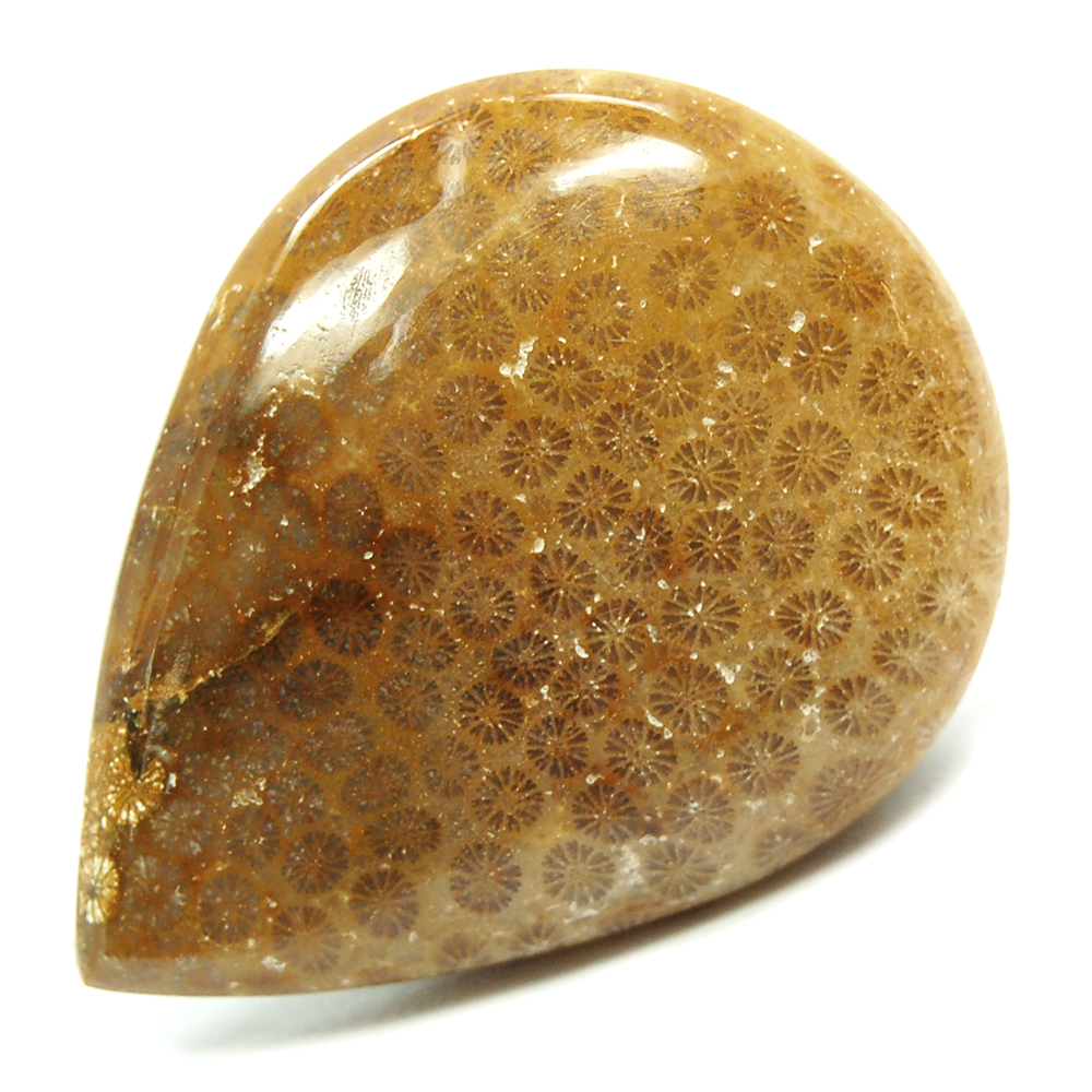 Discontinued - Agatized Coral Cabochon (India)