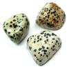 Tumbled Dalmatian Jasper (India) - Tumbled Stones
