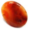 Cabochons - Carnelian Cabochon  Free-Form   Extra  (India)